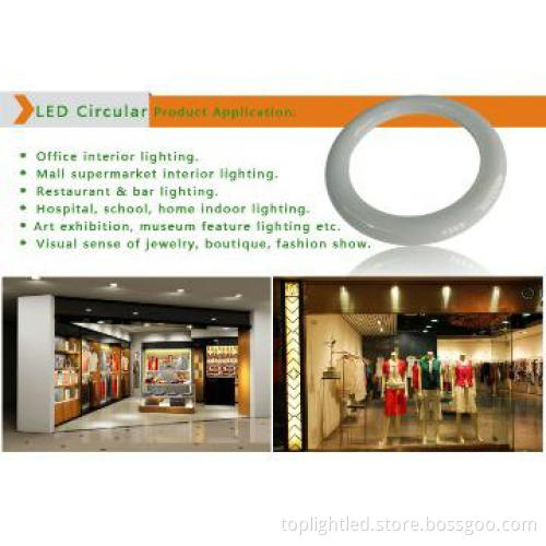 6500K LED Circular Lamp Lights